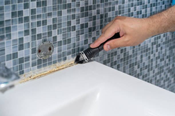 Best Mold Remediation for Specific Building Types in Gumlog, GA